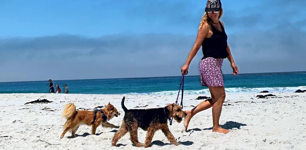 woman walking dogs on beach